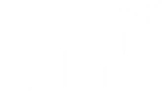 Testosterone Molecule