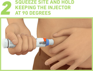 Step 2 - Squeeze Site And Hold Keeping The Injector At 90 Degrees Step 2 - Squeeze Site And Hold Keeping The Injector At 90 Degrees